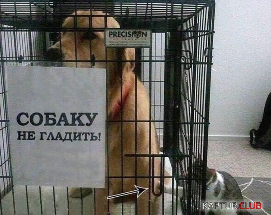 IMG_20210531_182447_326.jpg | Рено Каптур Клуб Россия | Форум KAPTUR.SU