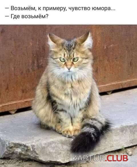 IMG_20210601_060203_191.jpg | Рено Каптур Клуб Россия | Форум KAPTUR.SU