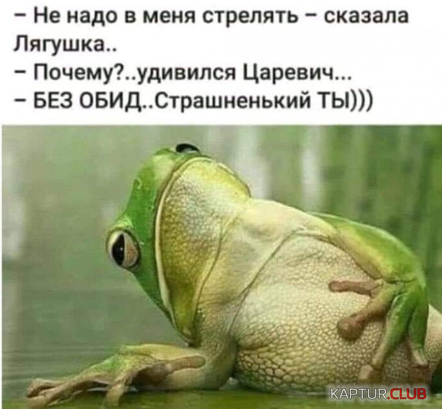 IMG_20210601_061514_972.jpg | Рено Каптур Клуб Россия | Форум KAPTUR.SU