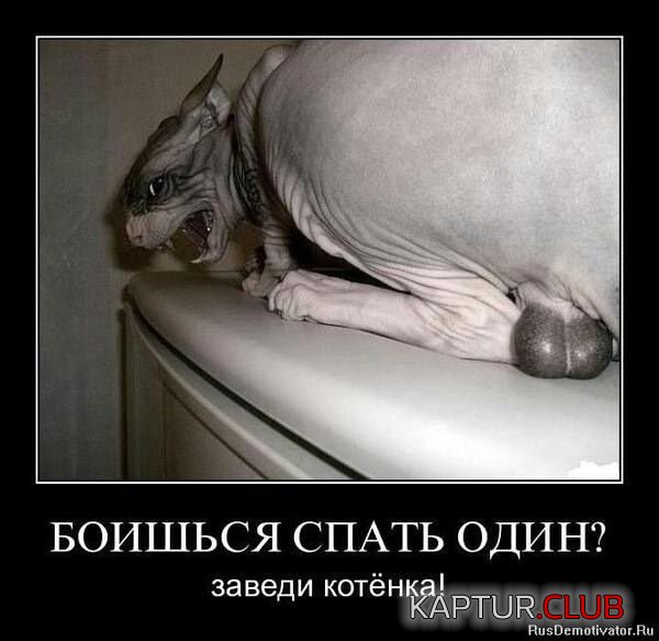 IMG_20210601_072108_272.jpg | Рено Каптур Клуб Россия | Форум KAPTUR.SU