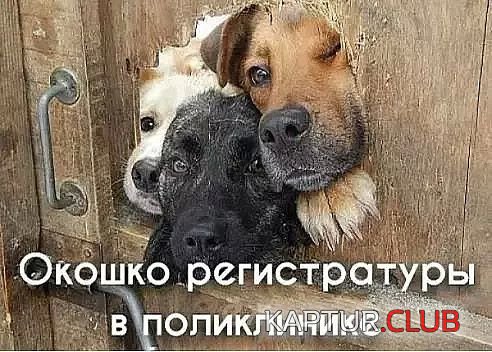 IMG_20210601_072128_578.jpg | Рено Каптур Клуб Россия | Форум KAPTUR.SU
