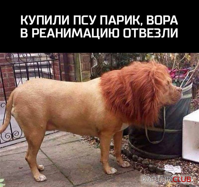 IMG_20210601_072351_898.jpg | Рено Каптур Клуб Россия | Форум KAPTUR.SU