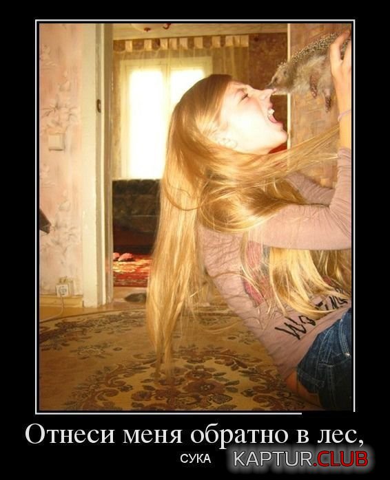IMG_20210601_072447_158.jpg | Рено Каптур Клуб Россия | Форум KAPTUR.SU