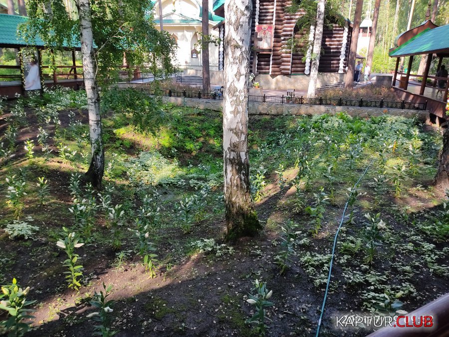 IMG_20210719_095237.jpg | Рено Каптур Клуб Россия | Форум KAPTUR.SU