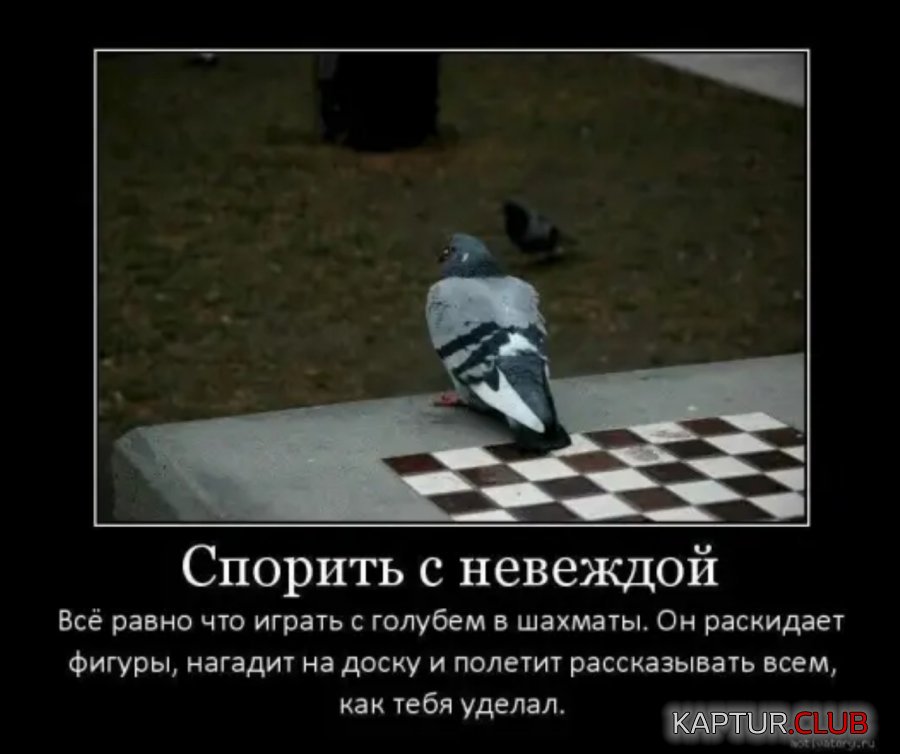 IMG_20250427_151158.jpg | Рено Каптур Клуб Россия | Форум KAPTUR.SU