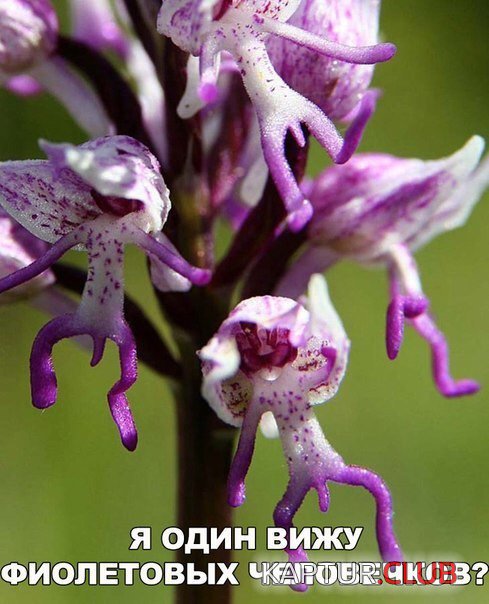 IMG_2141.JPG | Рено Каптур Клуб Россия | Форум KAPTUR.SU
