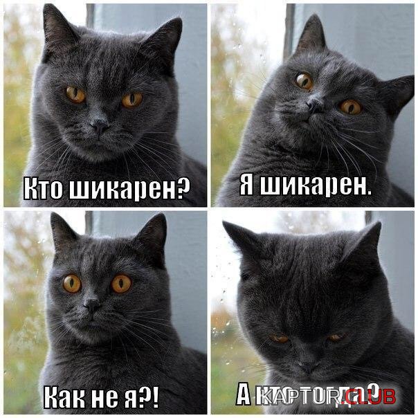 IMG_5329.JPG | Рено Каптур Клуб Россия | Форум KAPTUR.SU