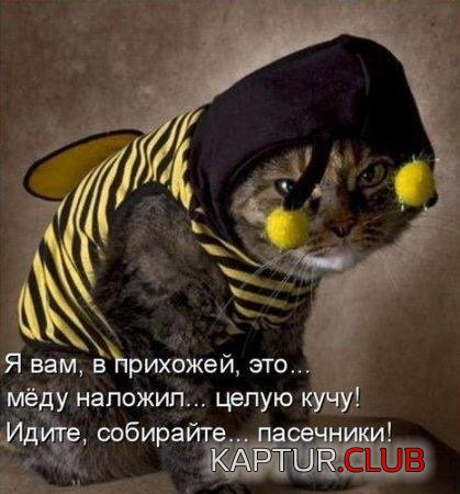 IMG_5461.JPG | Рено Каптур Клуб Россия | Форум KAPTUR.SU