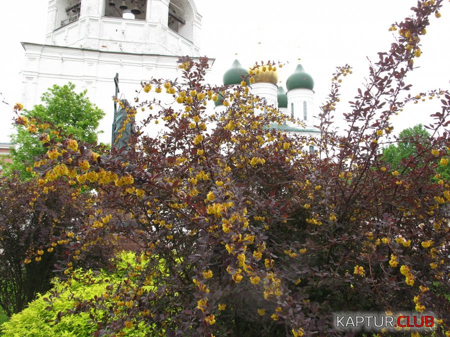 IMG_7251.JPG | Рено Каптур Клуб Россия | Форум KAPTUR.SU