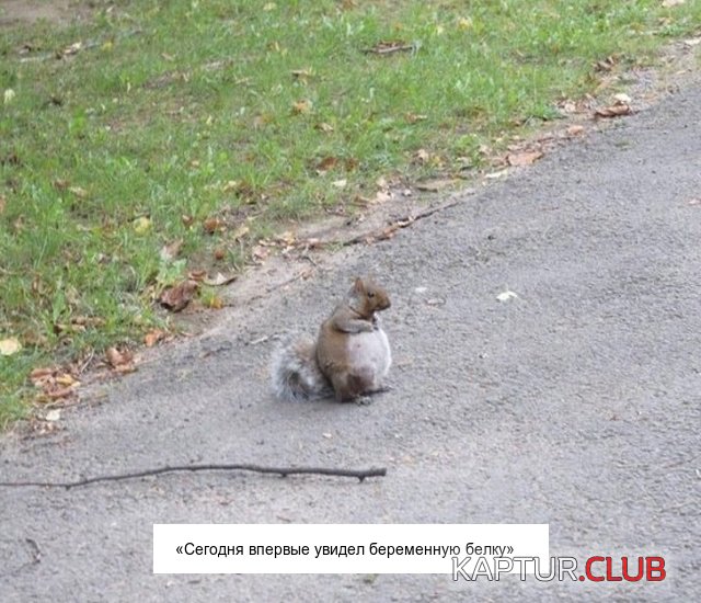 interesnie_photo_04.jpg | Рено Каптур Клуб Россия | Форум KAPTUR.SU