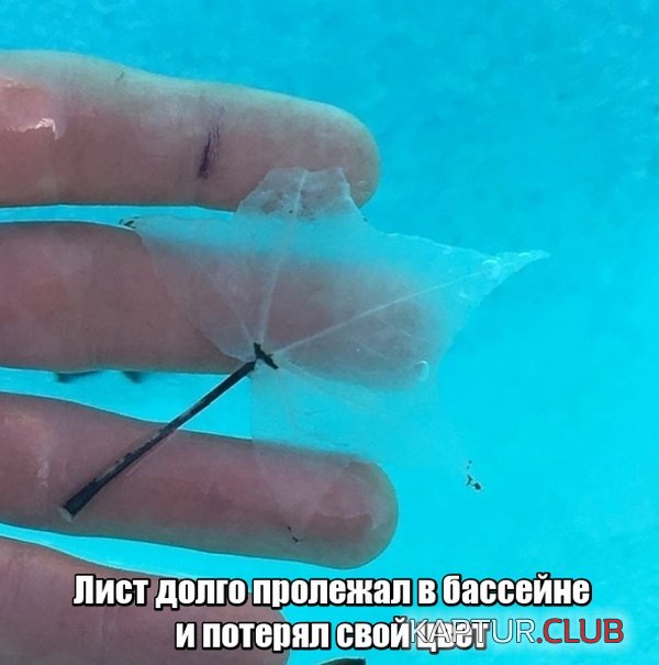 interesnie_photo_05.jpg | Рено Каптур Клуб Россия | Форум KAPTUR.SU