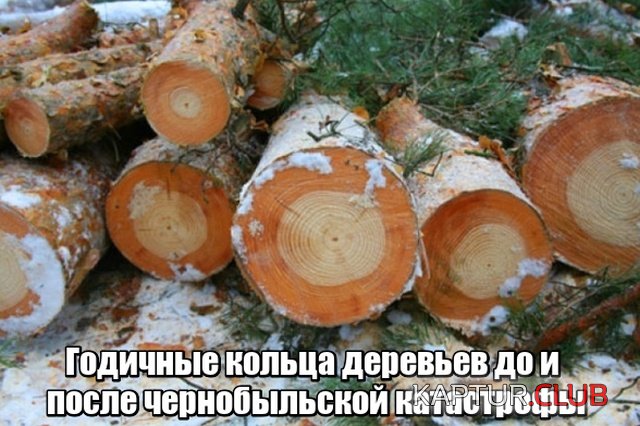 interesnie_photo_14.jpg | Рено Каптур Клуб Россия | Форум KAPTUR.SU