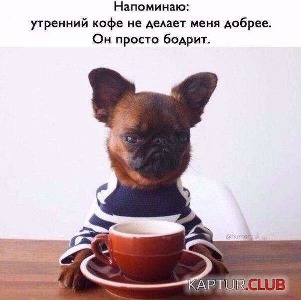 jbb0ZdrmTq4.jpg | Рено Каптур Клуб Россия | Форум KAPTUR.SU