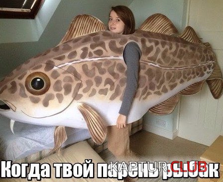 Юмор-картинки-приколы-с-надписями-фото-смотреть-бесплатно-1.jpg | Рено Каптур Клуб Россия | Форум KAPTUR.SU