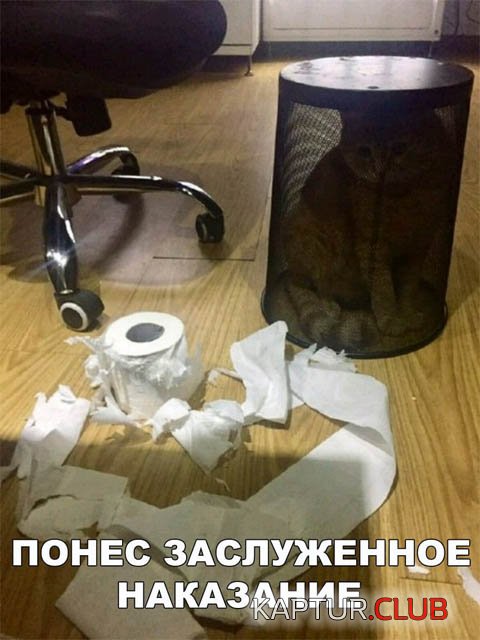 Юмор-картинки-приколы-с-надписями-фото-смотреть-бесплатно-15.jpg | Рено Каптур Клуб Россия | Форум KAPTUR.SU