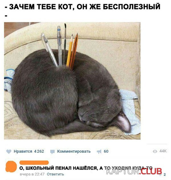 jumor_03.jpg | Рено Каптур Клуб Россия | Форум KAPTUR.SU