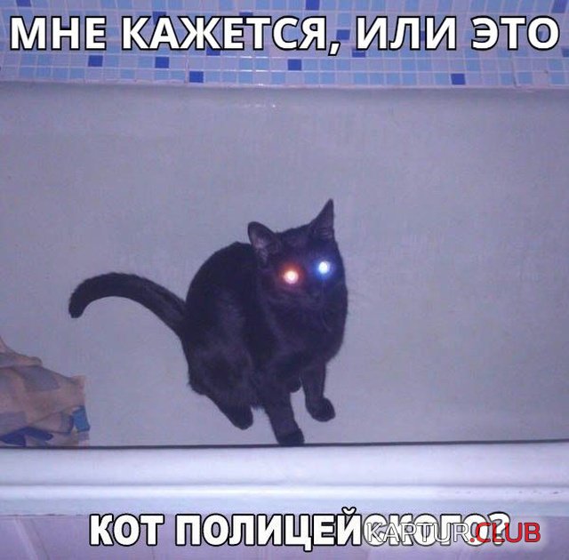 jumor_08.jpg | Рено Каптур Клуб Россия | Форум KAPTUR.SU