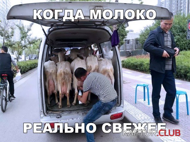 jumor_12.jpg | Рено Каптур Клуб Россия | Форум KAPTUR.SU