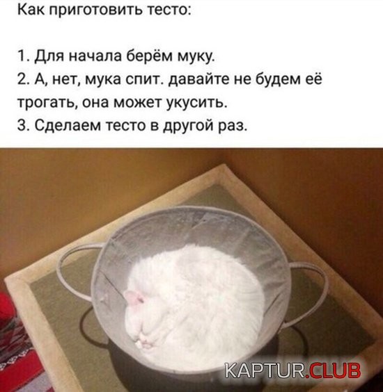 jumor_13.jpg | Рено Каптур Клуб Россия | Форум KAPTUR.SU