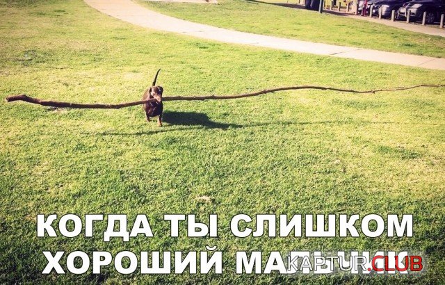 jumor_14.jpg | Рено Каптур Клуб Россия | Форум KAPTUR.SU