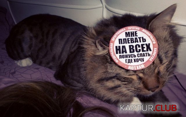 jumor_14.jpg | Рено Каптур Клуб Россия | Форум KAPTUR.SU