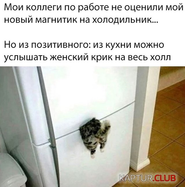 jumor_15.jpg | Рено Каптур Клуб Россия | Форум KAPTUR.SU