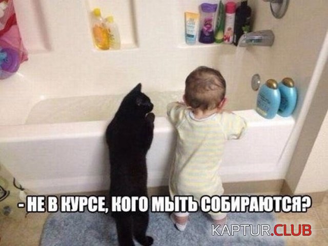 jumor_16.jpg | Рено Каптур Клуб Россия | Форум KAPTUR.SU
