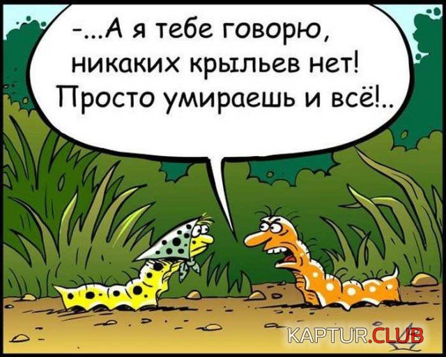jumor_16.jpg | Рено Каптур Клуб Россия | Форум KAPTUR.SU