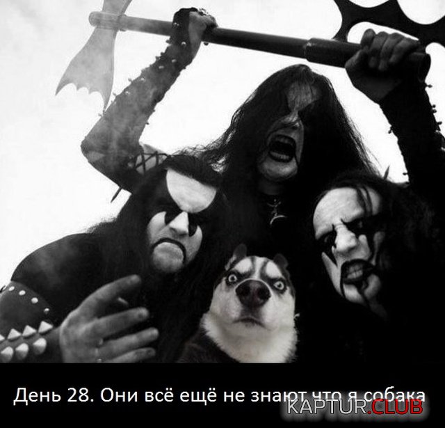 jumor_20.jpg | Рено Каптур Клуб Россия | Форум KAPTUR.SU