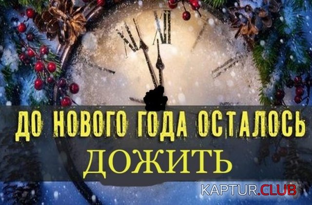 jumor_21.jpg | Рено Каптур Клуб Россия | Форум KAPTUR.SU
