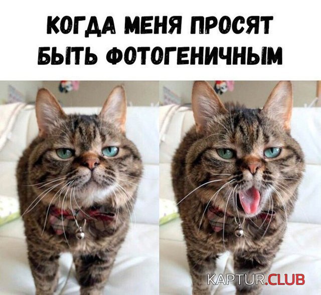 jumor_23.jpg | Рено Каптур Клуб Россия | Форум KAPTUR.SU
