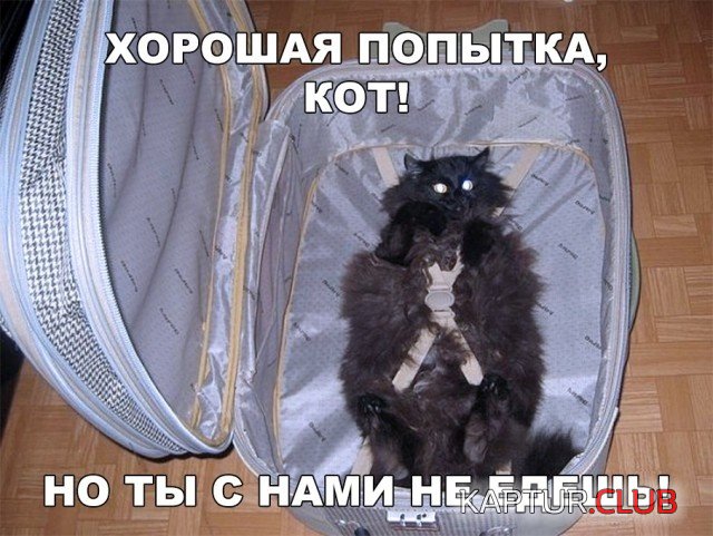 jumor_24.jpg | Рено Каптур Клуб Россия | Форум KAPTUR.SU