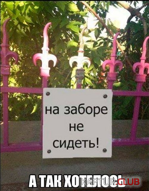 jumor_25.jpg | Рено Каптур Клуб Россия | Форум KAPTUR.SU