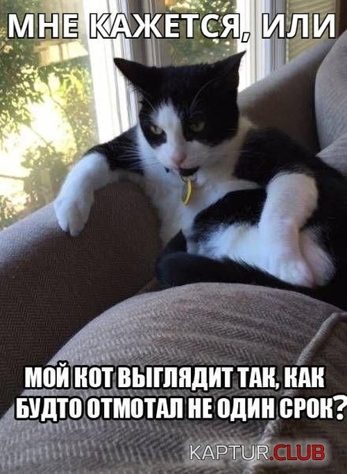 jumor_28.jpg | Рено Каптур Клуб Россия | Форум KAPTUR.SU