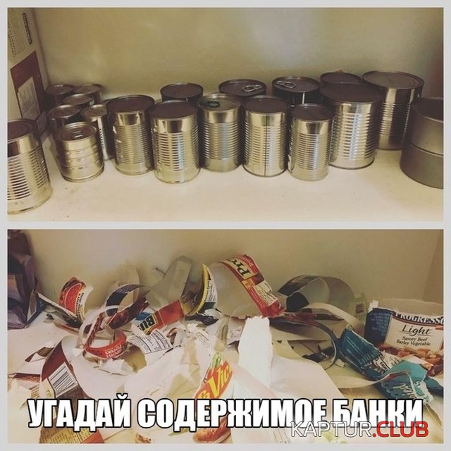 jumor_30.jpg | Рено Каптур Клуб Россия | Форум KAPTUR.SU