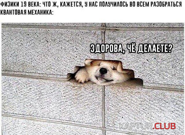 jumor_kartinki_06.jpg | Рено Каптур Клуб Россия | Форум KAPTUR.SU