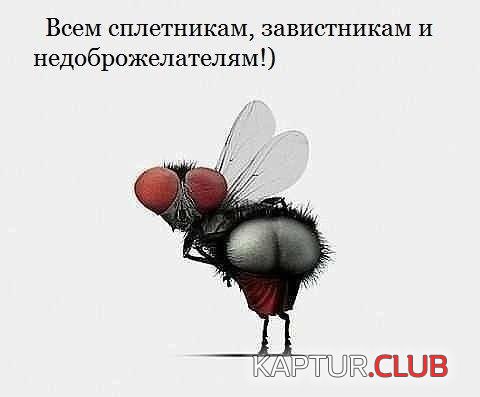 k010615.jpg | Рено Каптур Клуб Россия | Форум KAPTUR.SU