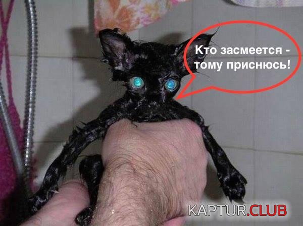 k030415-1.jpg | Рено Каптур Клуб Россия | Форум KAPTUR.SU