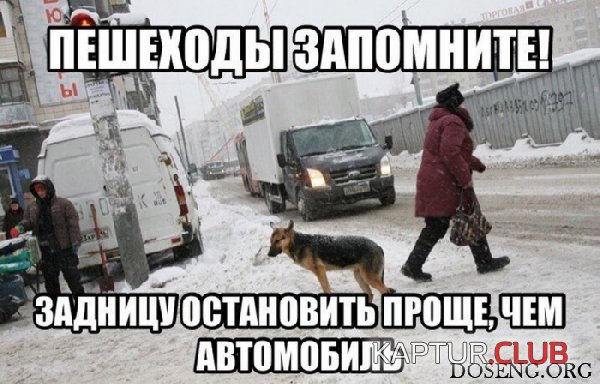 k090317-2.jpg | Рено Каптур Клуб Россия | Форум KAPTUR.SU