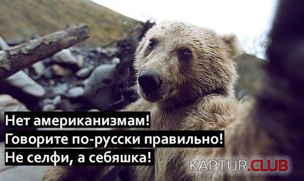 k090415-2.jpg | Рено Каптур Клуб Россия | Форум KAPTUR.SU