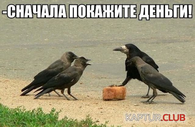 kartinki_02.jpg | Рено Каптур Клуб Россия | Форум KAPTUR.SU