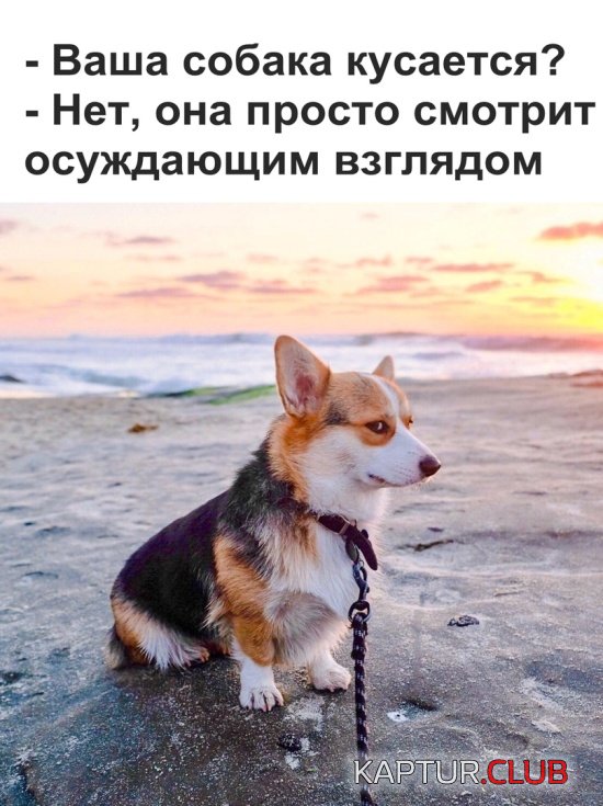 kartinki_07.jpg | Рено Каптур Клуб Россия | Форум KAPTUR.SU