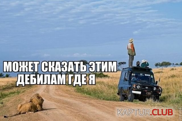 kartinki_09.jpg | Рено Каптур Клуб Россия | Форум KAPTUR.SU