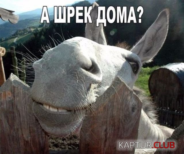 kartinki_10.jpg | Рено Каптур Клуб Россия | Форум KAPTUR.SU