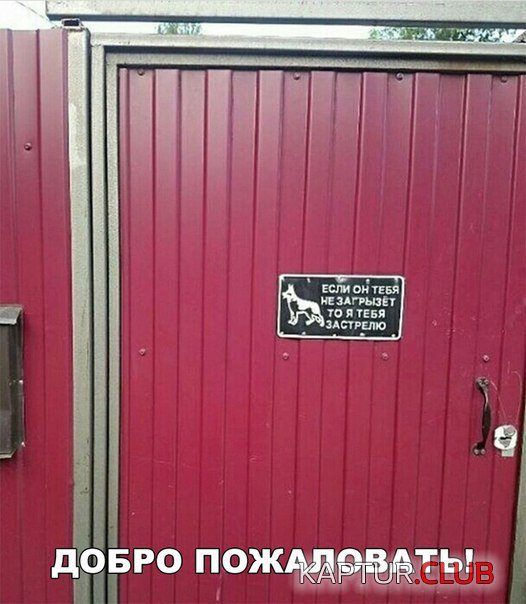 kartinki_10.jpg | Рено Каптур Клуб Россия | Форум KAPTUR.SU