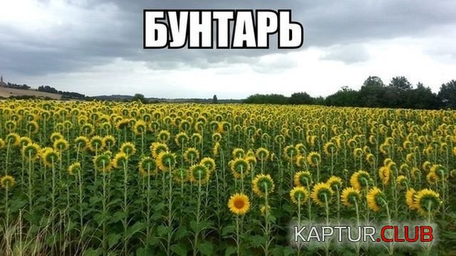 kartinki_11.jpg | Рено Каптур Клуб Россия | Форум KAPTUR.SU