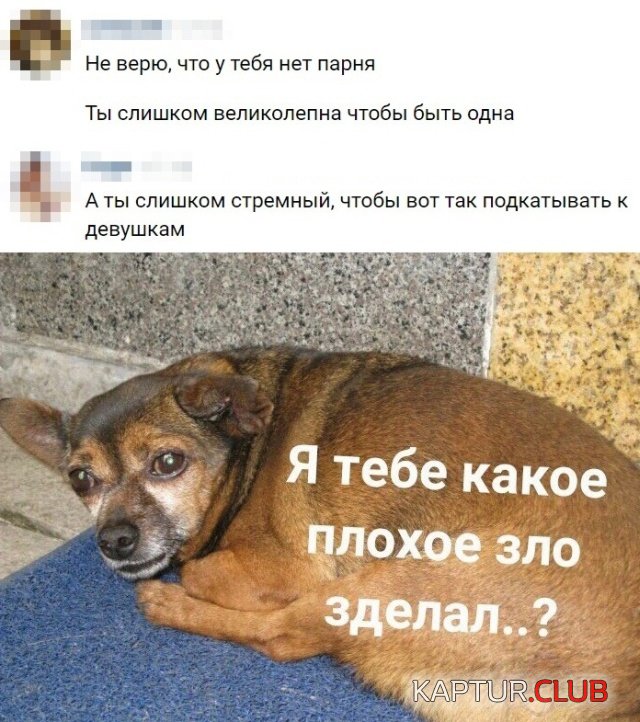 kartinki_11.jpg | Рено Каптур Клуб Россия | Форум KAPTUR.SU