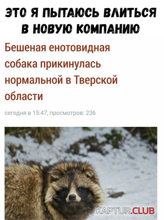 kartinki_13.jpg | Рено Каптур Клуб Россия | Форум KAPTUR.SU