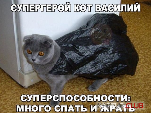 kartinki_15.jpg | Рено Каптур Клуб Россия | Форум KAPTUR.SU