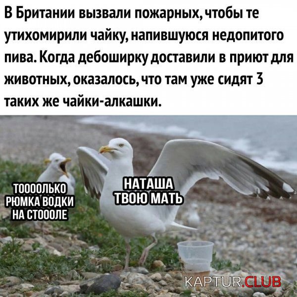 kartinki_16.jpg | Рено Каптур Клуб Россия | Форум KAPTUR.SU